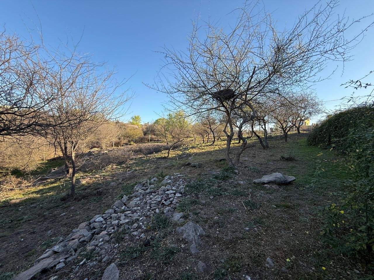LOTE PARQUE SIQUIMAN VISTA PANORAMICA