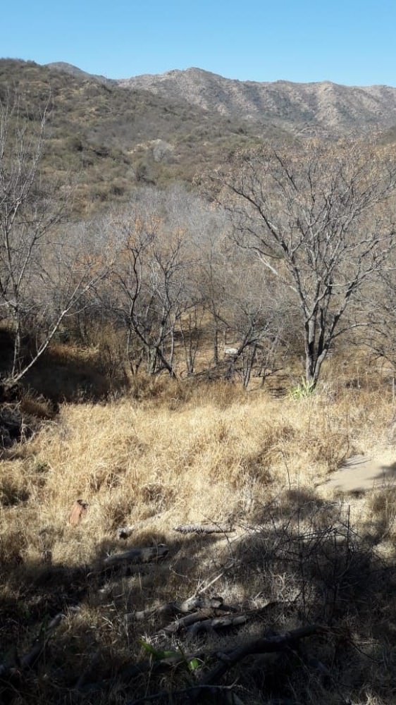 LOTE 1400 MTS.