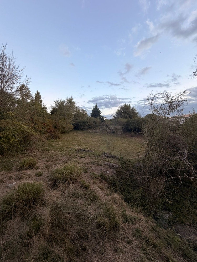 LOTE EN LOMAS DEL REY