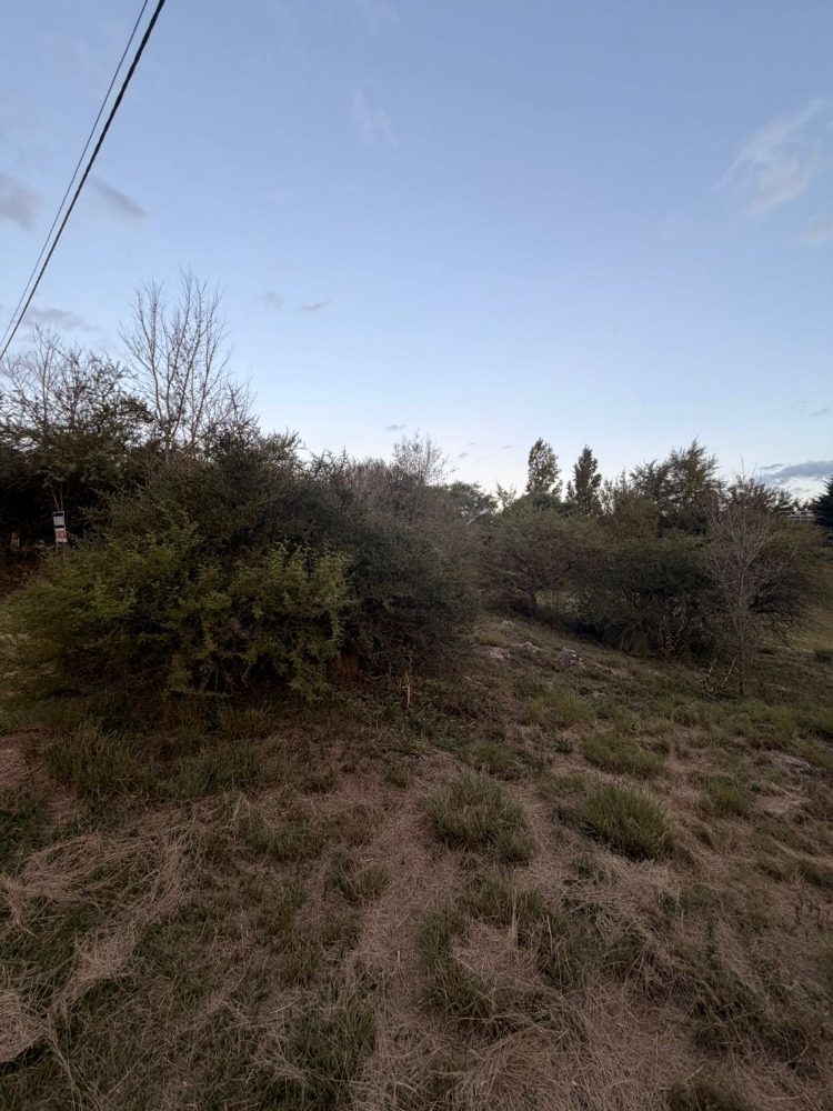 LOTE EN LOMAS DEL REY
