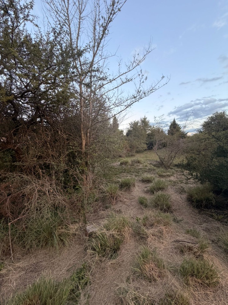 LOTE EN LOMAS DEL REY