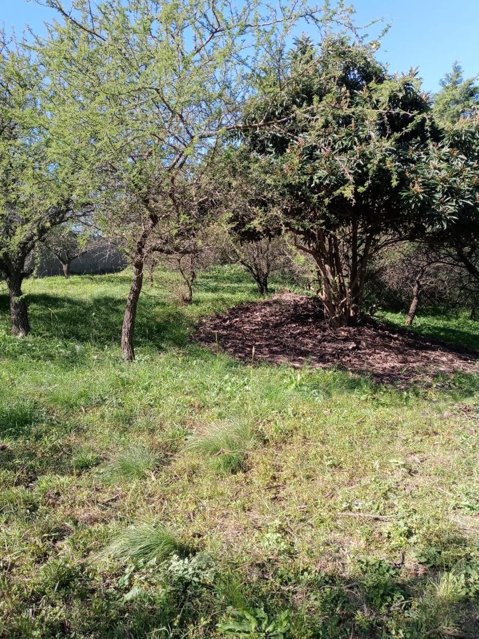 LOTE SAN ANTONIO DE ARREDONDO