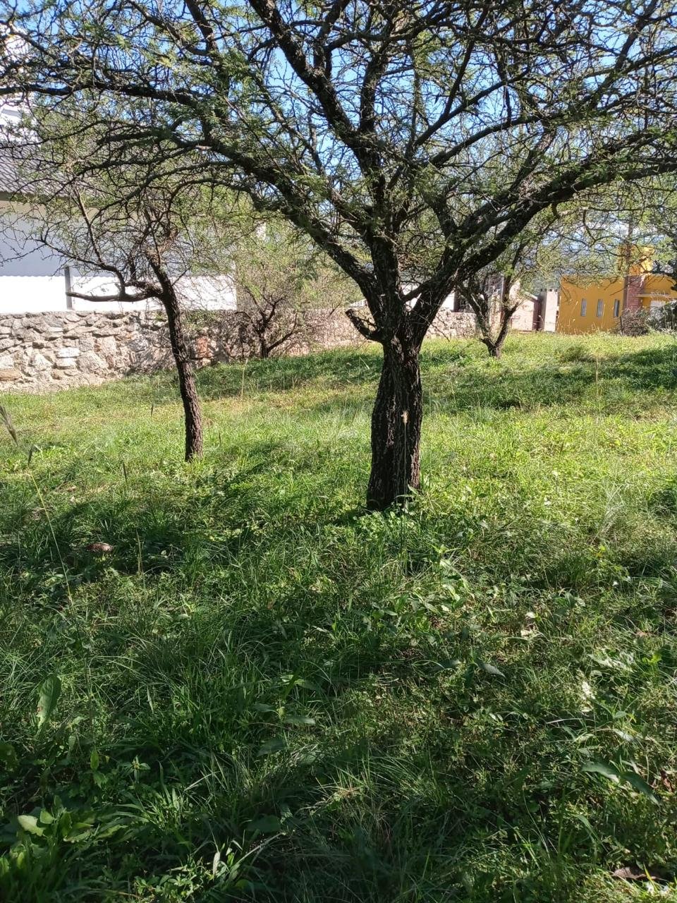 LOTE SAN ANTONIO DE ARREDONDO