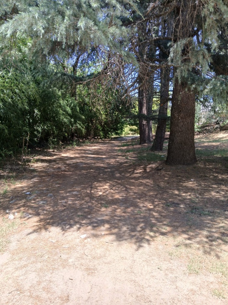 Foto 9