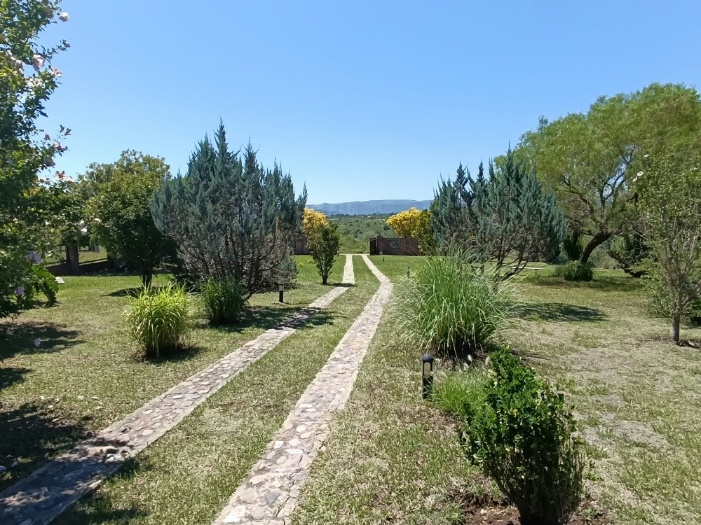Foto 31