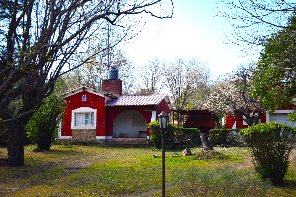 Foto 11