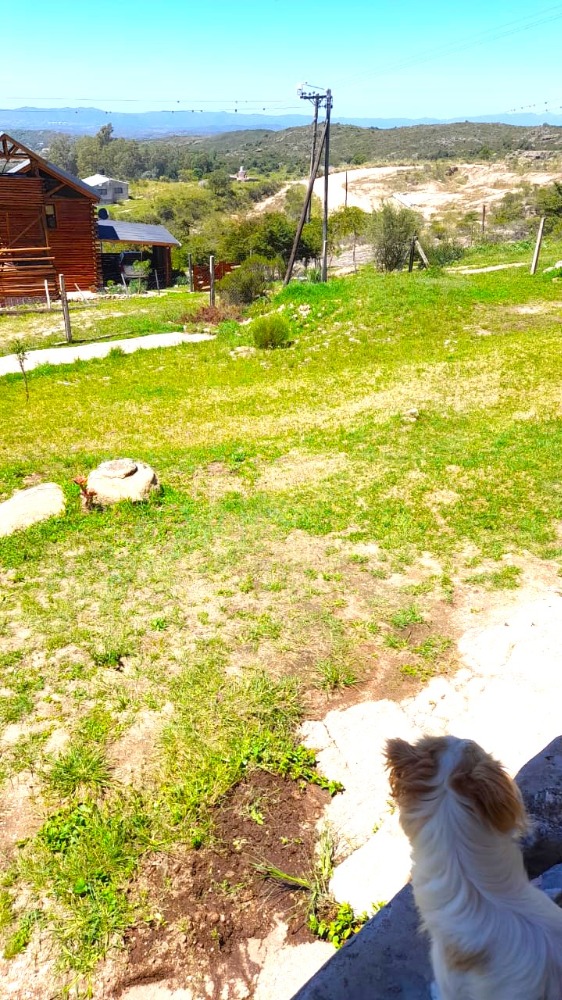 Foto 8