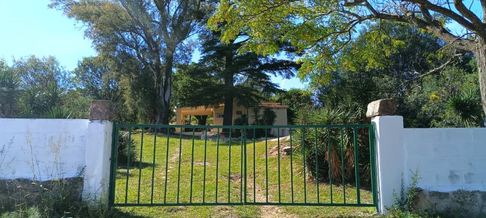 Foto 6