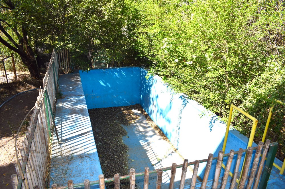 Foto 7