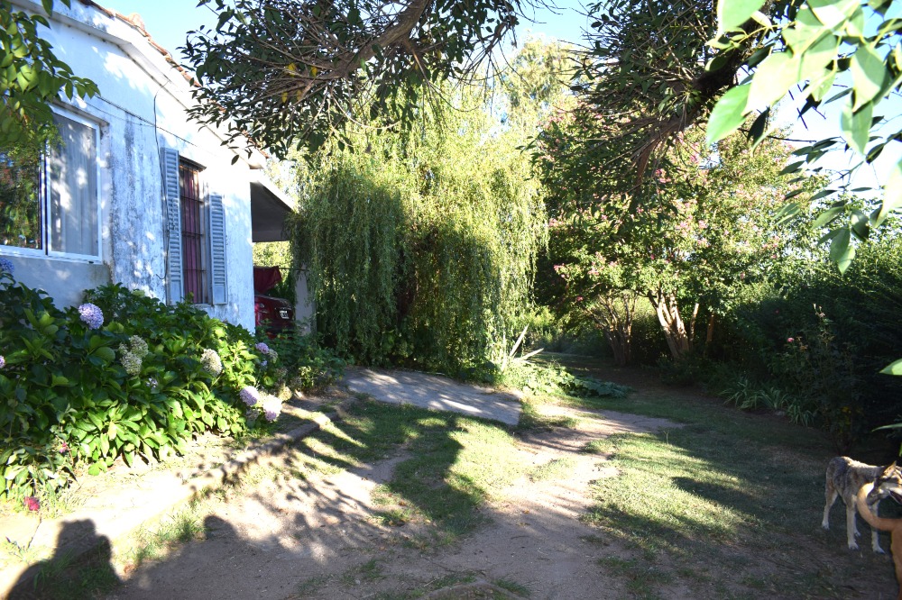Foto 32