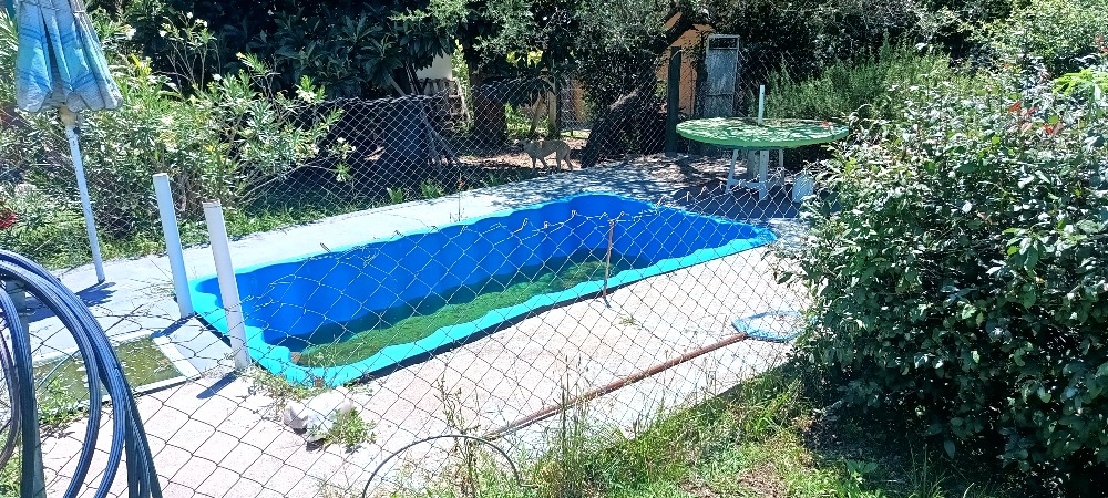 Foto 8