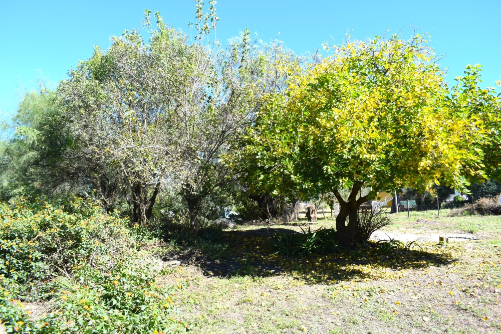Foto 13