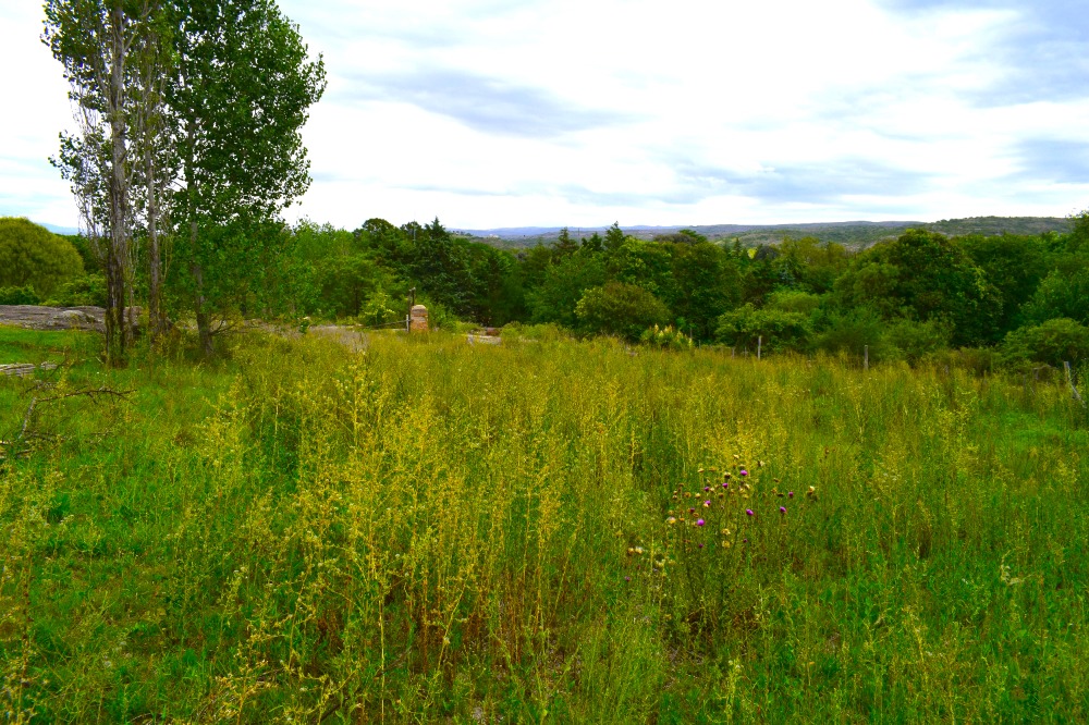 2 LOTES A 280 MTS DEL ARROYO TANTI