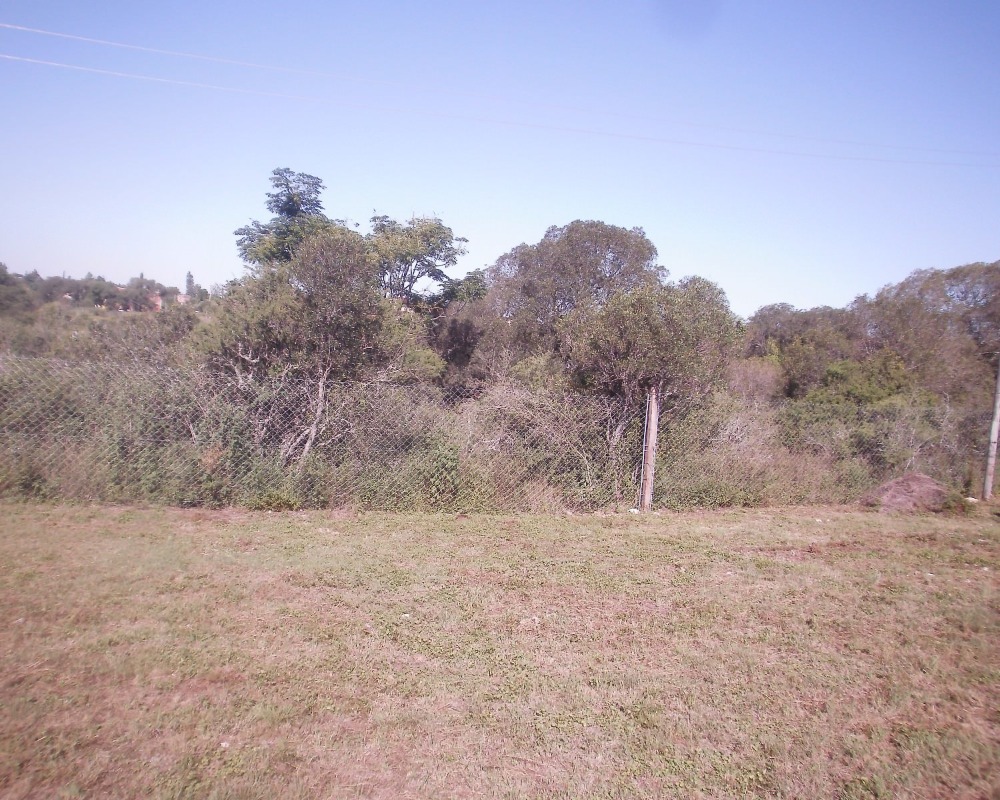 Foto 16