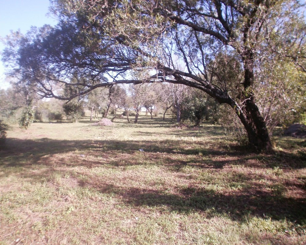 Foto 17