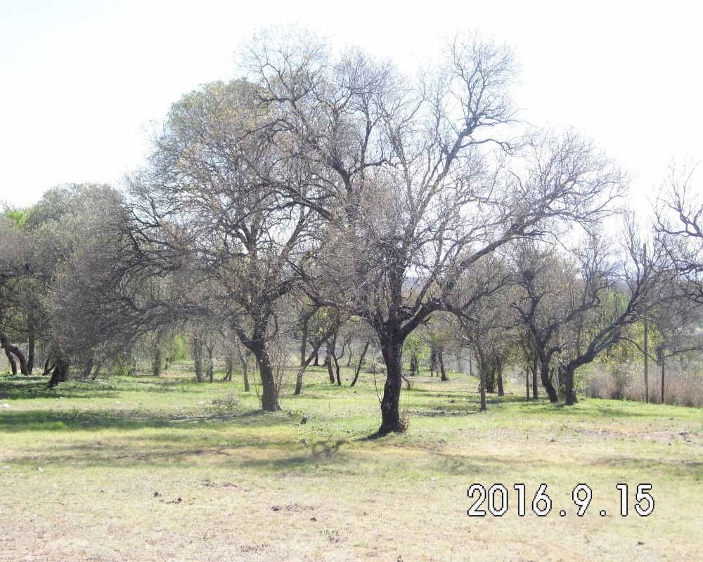 Foto 19