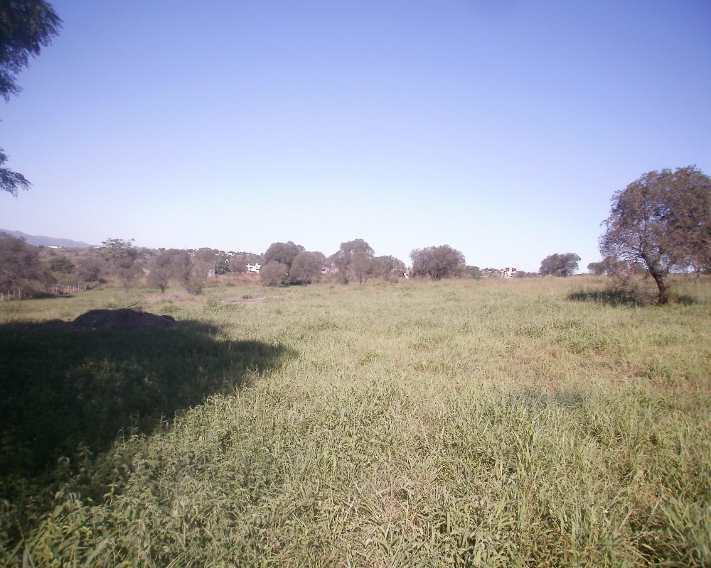 Foto 13