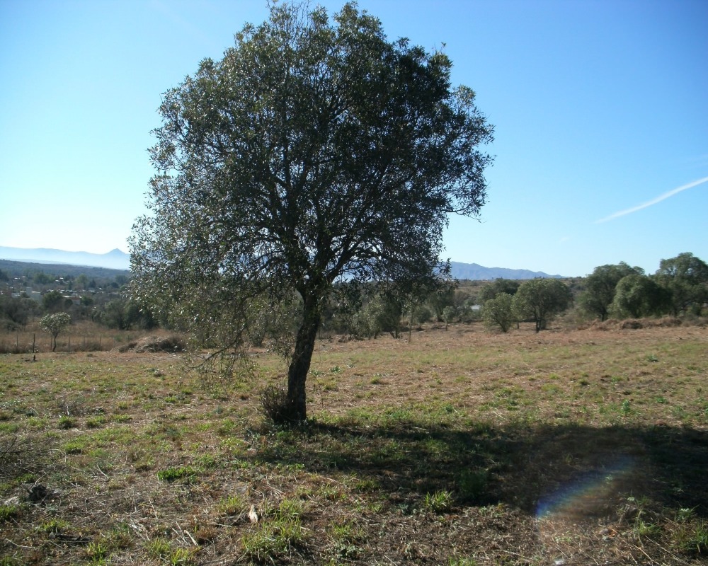 Foto 19