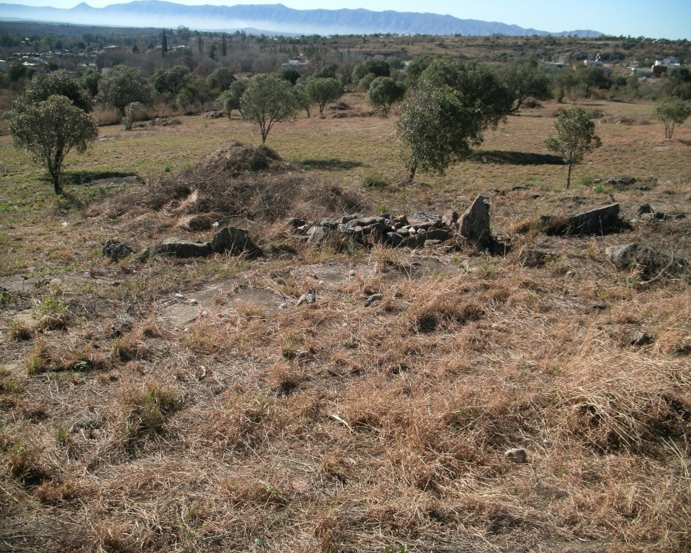 Foto 20