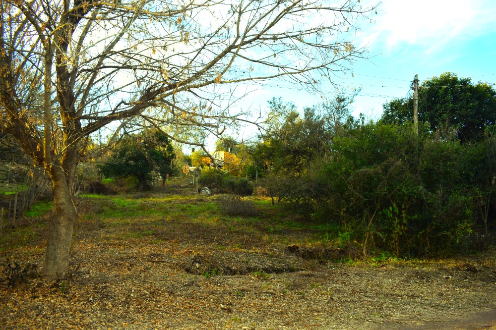 LOTE EN ZONA MUY TRANQUILA