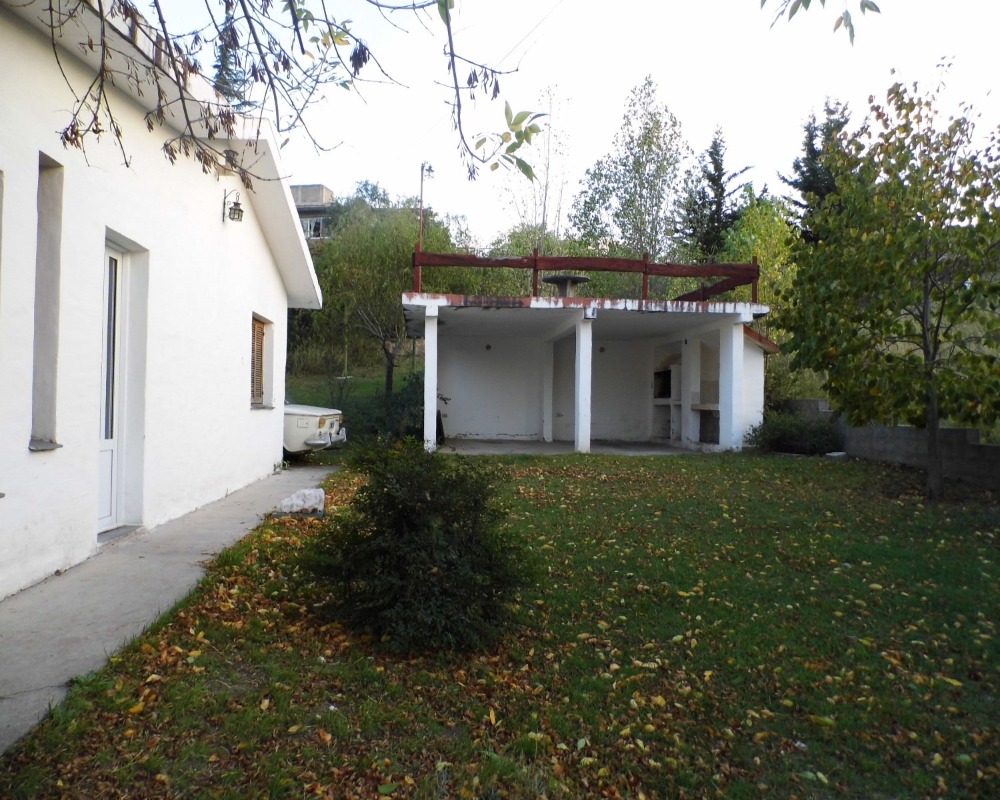 Foto 11