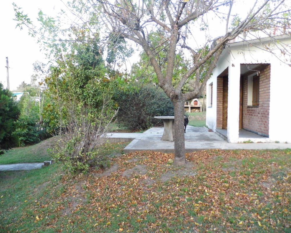 Foto 4
