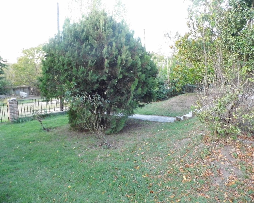 Foto 8