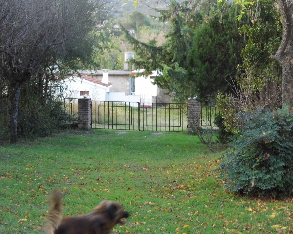 Foto 17