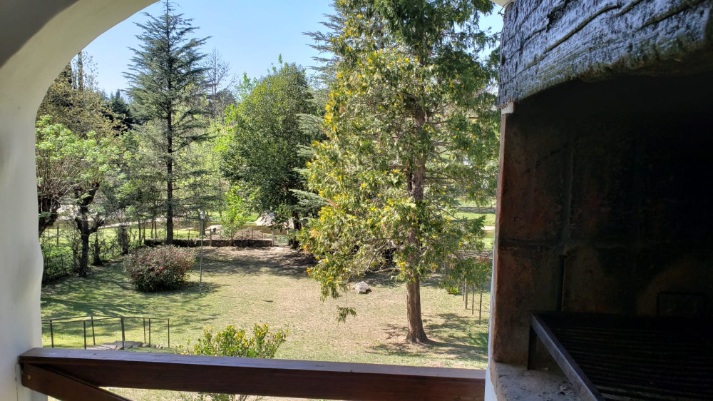 Foto 15