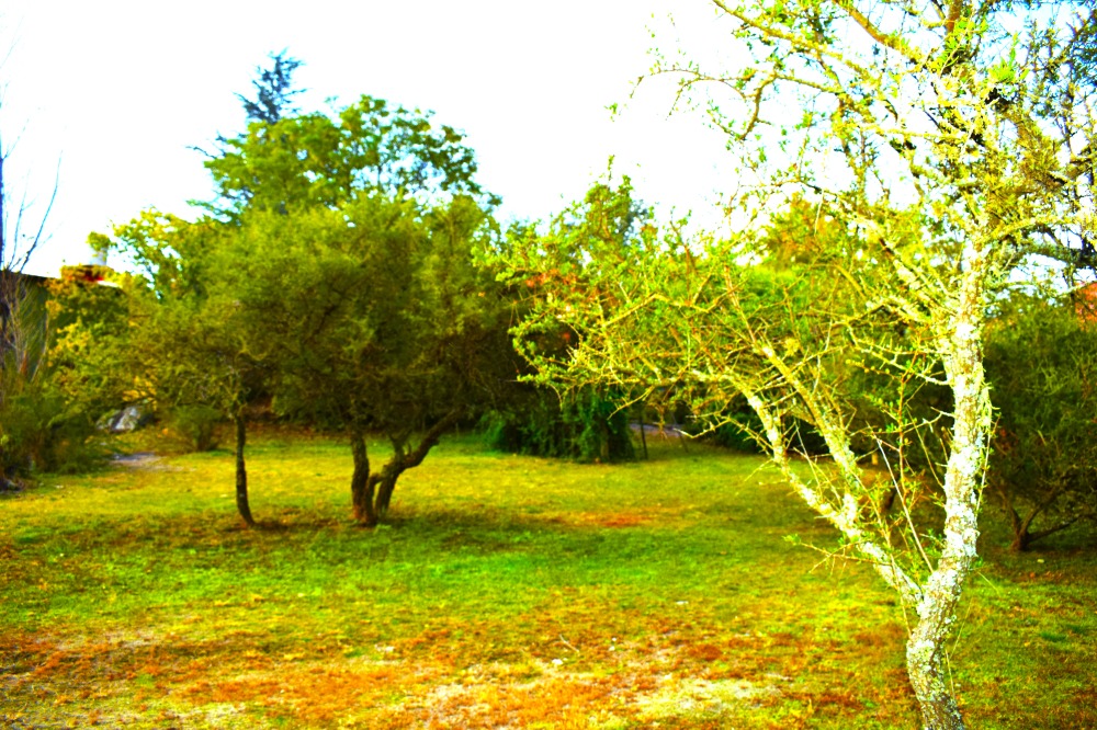 Foto 8