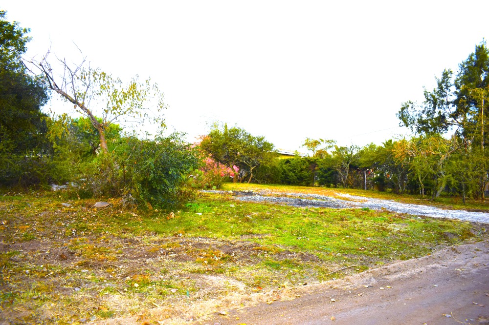 UNICO LOTE A 80 MTS DEL ARROYO
