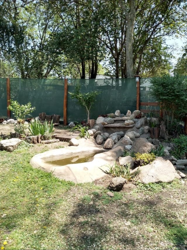 Foto 13
