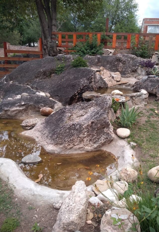 Foto 14