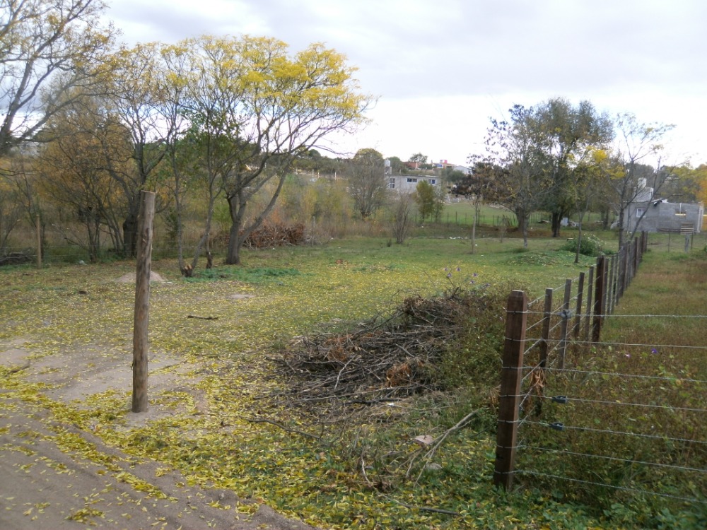Foto 8