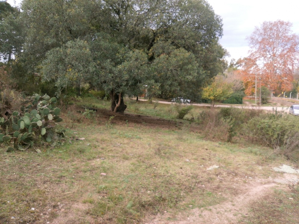 TANTI- VILLA SAN MIGUEL- 