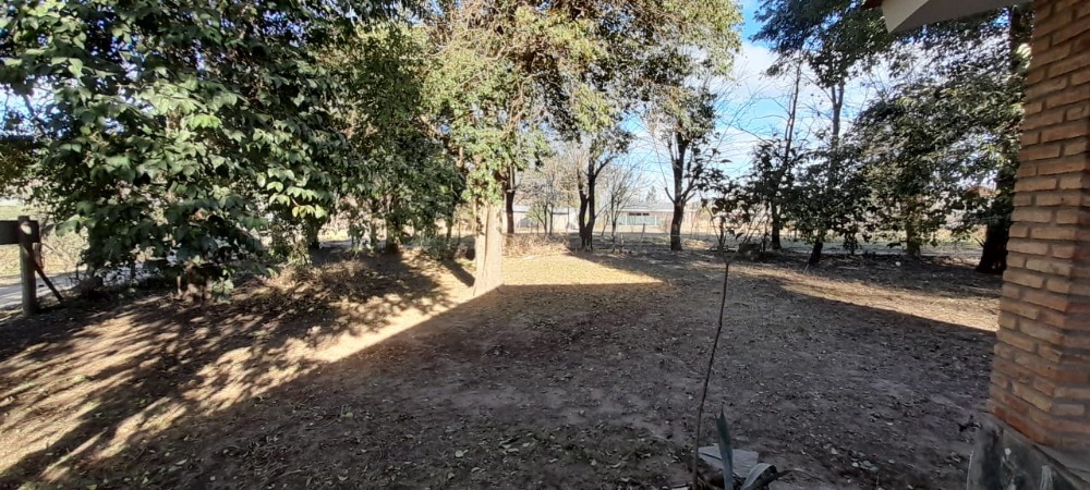 Foto 13