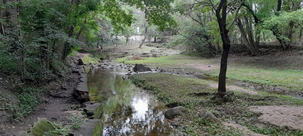 Foto 6