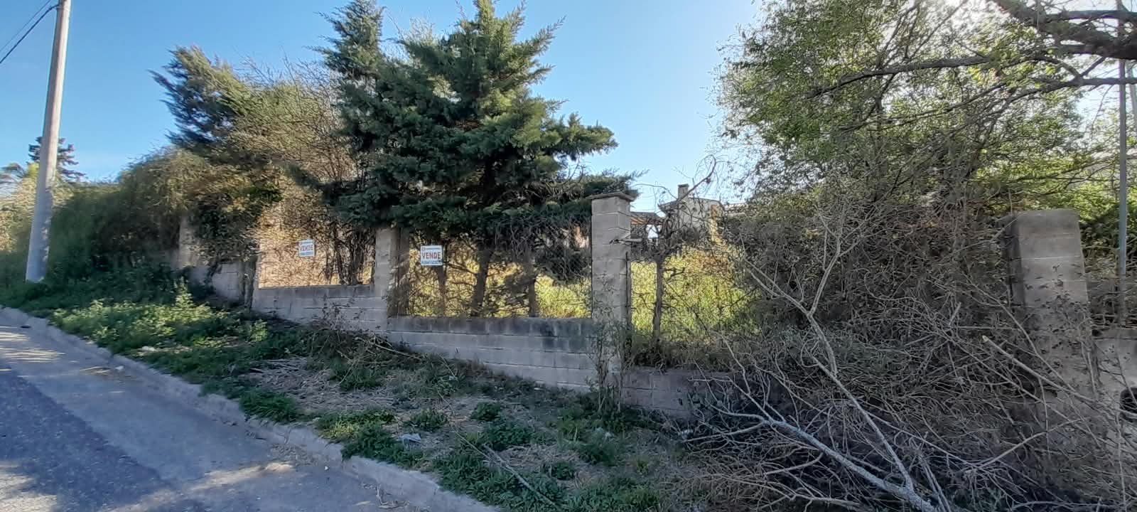 TERRENO SOBRE CALLE EL GORRION- TANTI