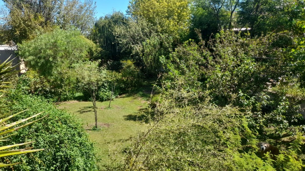 Foto 17