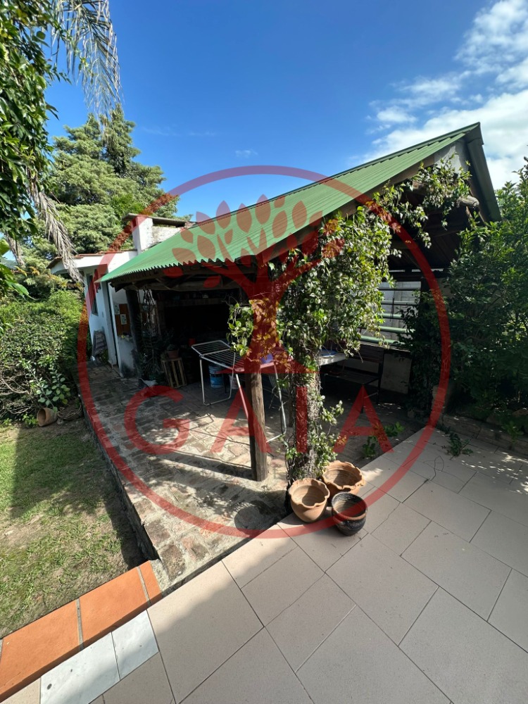 Foto 6