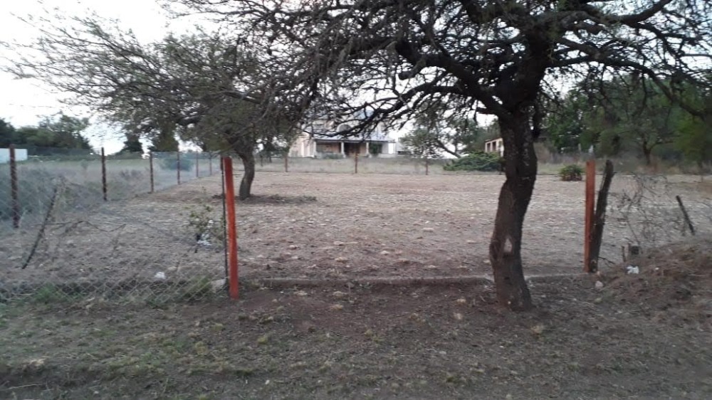 Foto 16